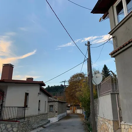 شاليه Forest View Elisavet