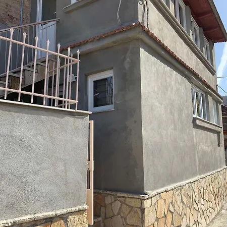 Forest View Elisavet Pavliani