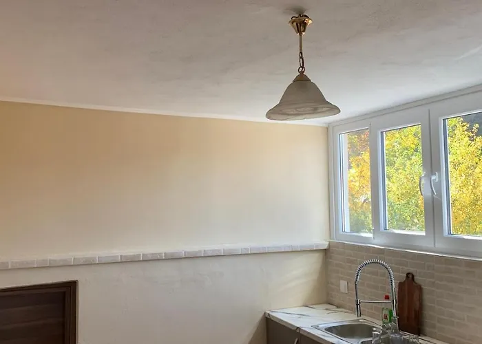 Forest View Elisavet