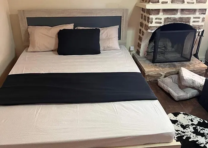 Forest View Elisavet Παύλιανη